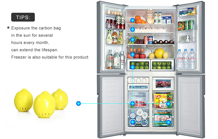 Refrigerator deodorizer using guide
